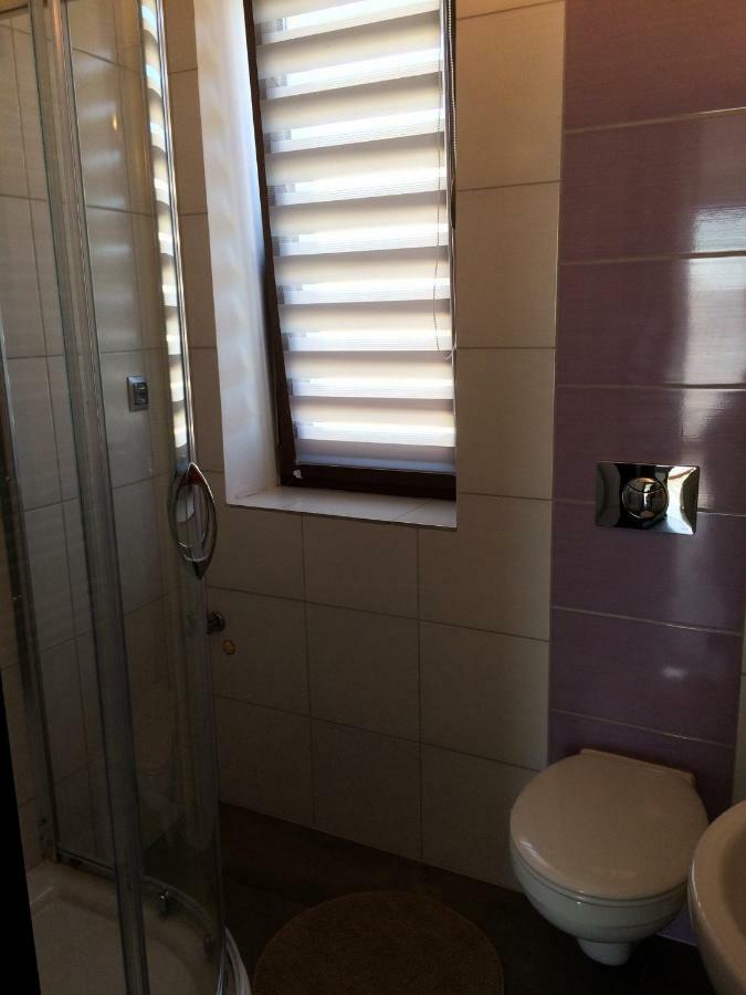 ריבניק Apartament Fibra Cortado מראה חיצוני תמונה